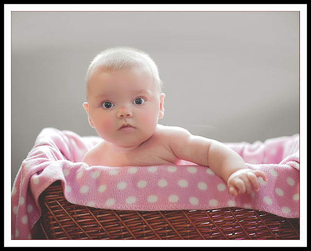 baby in a basket photoshoot chichester