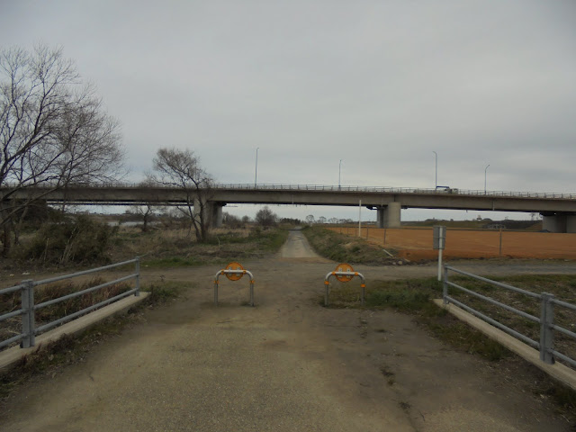 国道431号道路の橋