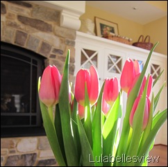 Tulips and Sunlight 3_r