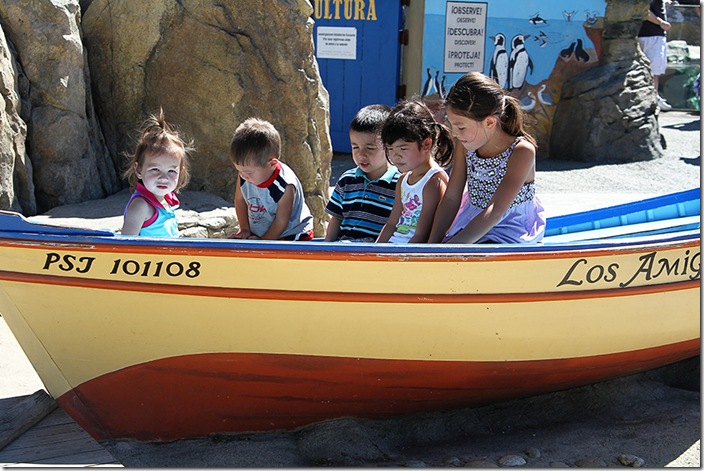 Zoo15