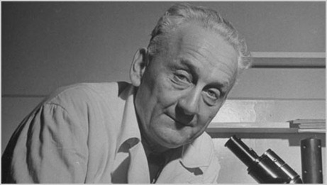 Albert Szent-Gyorgyi 118th birthday celebration Google Doodle 2011