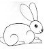 How To Draw Rabbit Step By Step Easy