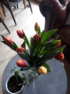 Premier bouquet de tulipes du confinement!