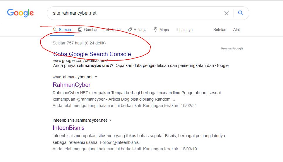 jUMLAH POSTINGAN rAHMANcYBER YANG DI INDEX GOOGLE