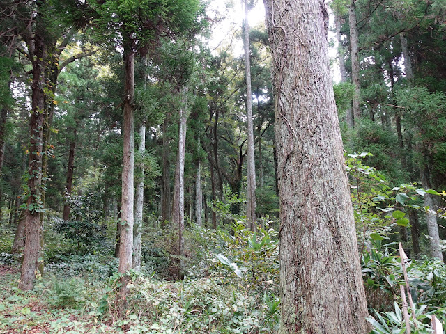 籠立橋バス停に向かいます