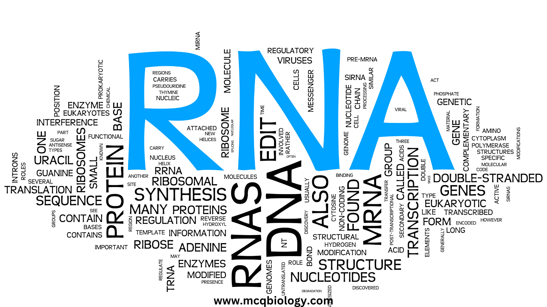 MCQ on Nucleic Acids - DNA and RNA