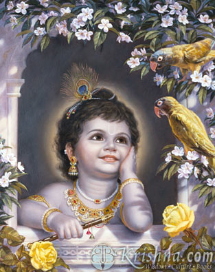 High Quality Images Of Lord Krishna. 3d wallpapers of lord krishna.