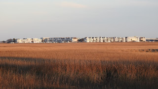 marsh harbor and tolers cove in Mount Pleasant SC