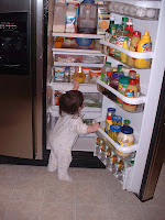 baby getting into fridge