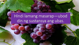  7 Reasons Why You Should Eat Grapes