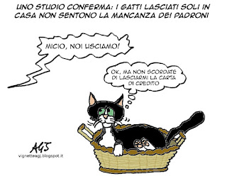 gatti, gatto, umorismo, satira vignetta