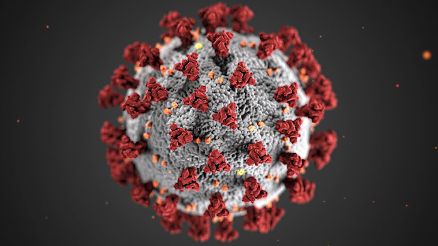 The Covid-19 Virus by Tmaximumge from the PXHere Website