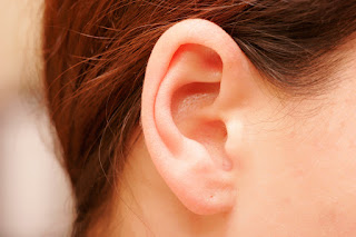 hukum melubangi telinga