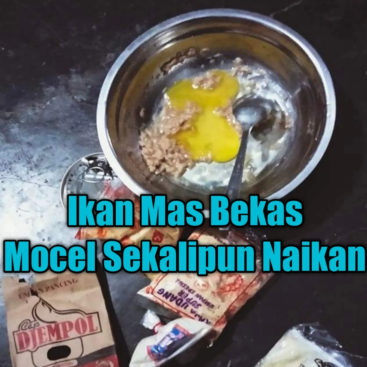 Umpan untuk mancing ikan mas yang bekas mocel