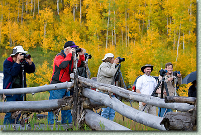 Photography Workshops