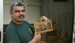 O Superintendente do Ibama-PB Ronilson Paz participou da operação.