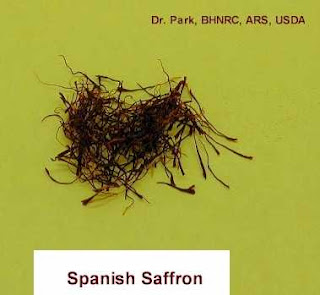 saffron_usda