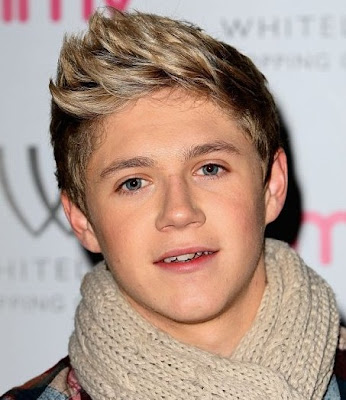 NIALL HORAN HAIRCUT