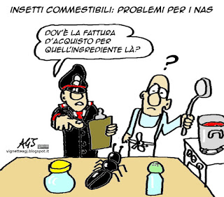 insetti, ristorazione, NAS, satira vignetta