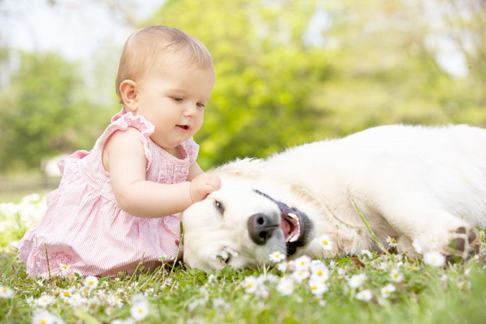 Top Reasons Children Should Grow Up With Pets