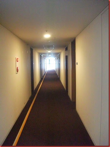 DSCF2132