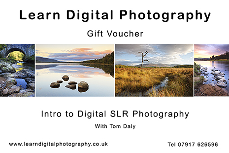 Learn Digital Photography