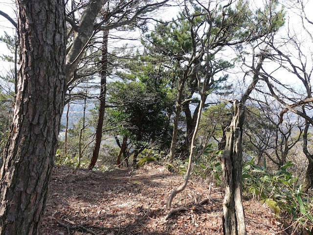 孝霊山　中腹の急な坂道