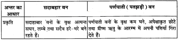 Solutions Class 11 Geography in Hindi Chapter 5– (प्राकृतिक वनस्पति)