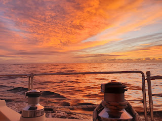 Sunset sailing of Seal Rocks