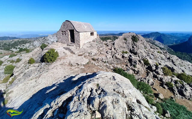 Circular a Peña Corva desde el Área Recreativa Gil Cobo (Sierra de Las Villas)