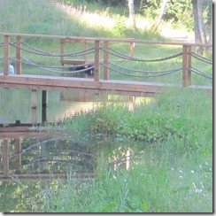 rinda-bridge