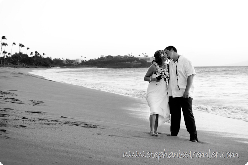 MauiWeddingPhotographer3-1-10Lisa&Eric-118