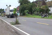 Warga di Ngawi Tanam Pohon Pisang di Jalan Berlubang