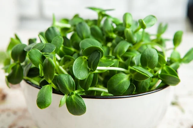 Baby Spinach