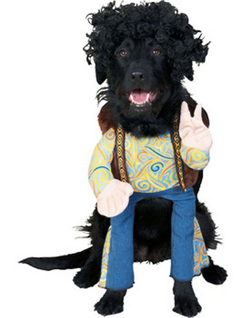 Dog Fancy Dress5