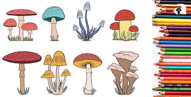 mushroom drawing_2