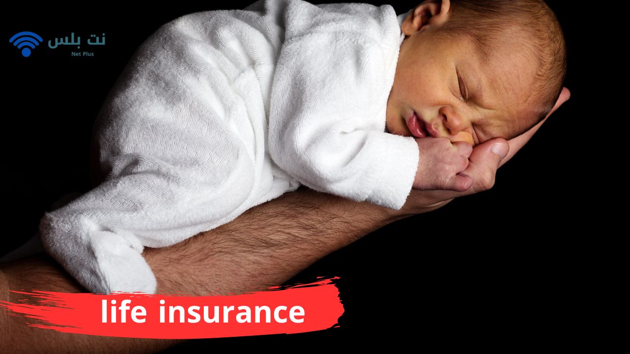 التأمين على الحياة . التأمين على الحياة . التأمين على الحياة 2023.
life insurance