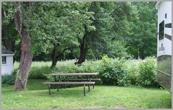 DSCF8040