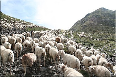 ... el ascenso al Port de la Picada no fue en solitario