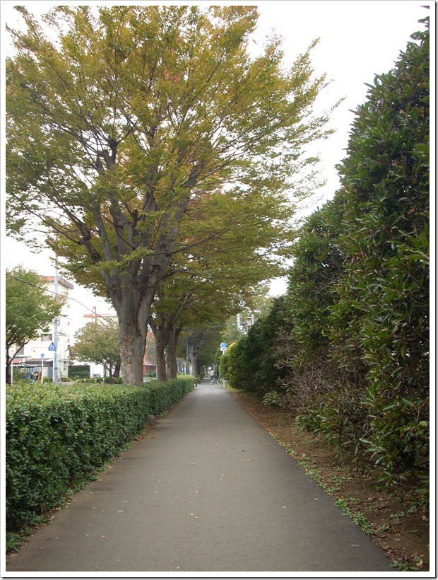 20111030_132204