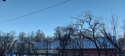 Kujutis