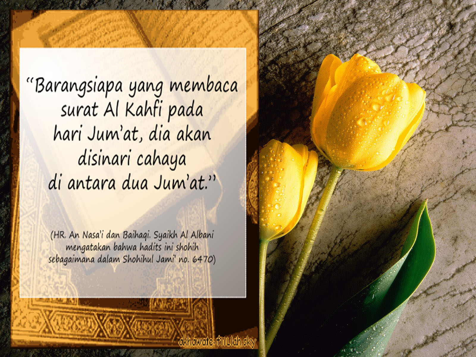 "BELAJAR": Manfaat dan Keutamaan Membaca Surat Al-Kahfi 