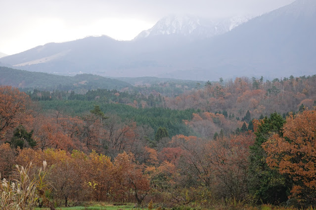 鳥取県西伯郡大山町赤松 付近の眺望