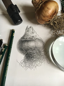 Bulb drawing