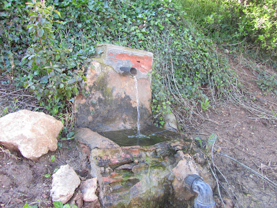 VALLFLOR (COLL D'ARCA) I MONTMELL, font a la vall de Sant Marc