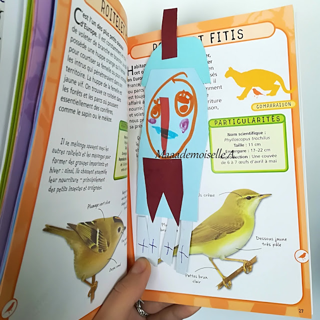 Petit guide de poche - Les oiseaux des jardins