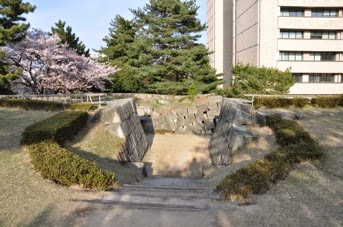DSC 0309