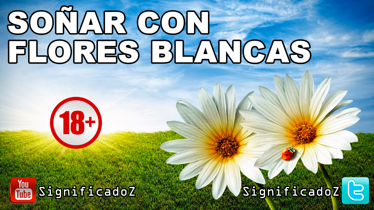 Significado De Sonar Con Flores Blancas Vernajoyce Blogs