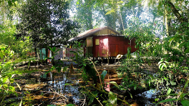 Tortuguero National Park