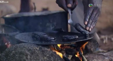 These African Mosquito Hamburgers From Africa Looks So Delicious, But Gross